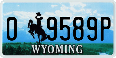 WY license plate 09589P