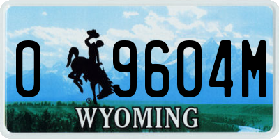 WY license plate 09604M