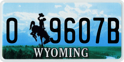WY license plate 09607B