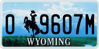 WY license plate 09607M