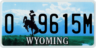 WY license plate 09615M