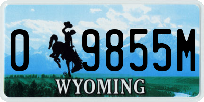 WY license plate 09855M