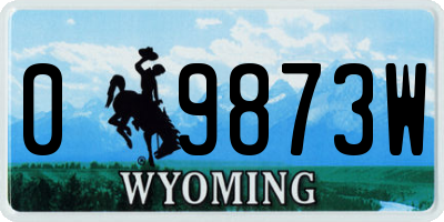 WY license plate 09873W