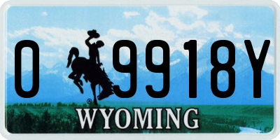 WY license plate 09918Y