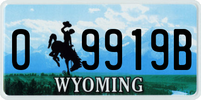 WY license plate 09919B
