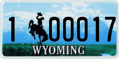 WY license plate 100017