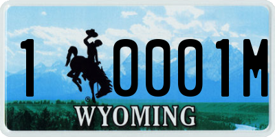 WY license plate 10001M