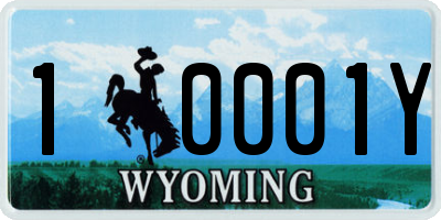 WY license plate 10001Y