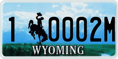 WY license plate 10002M
