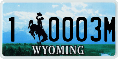 WY license plate 10003M
