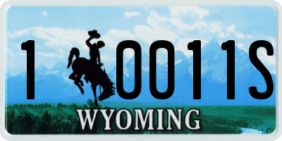 WY license plate 10011S