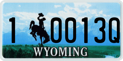 WY license plate 10013Q