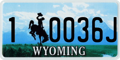 WY license plate 10036J