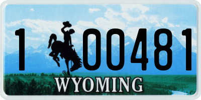 WY license plate 100481