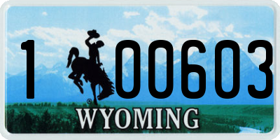 WY license plate 100603