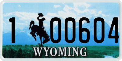 WY license plate 100604
