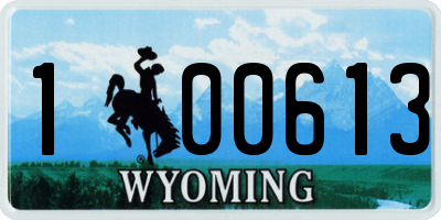 WY license plate 100613