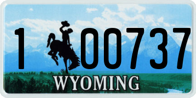 WY license plate 100737