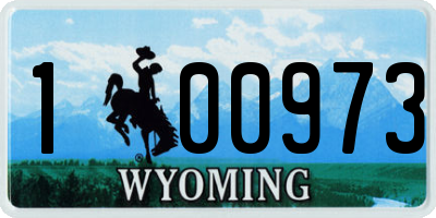 WY license plate 100973
