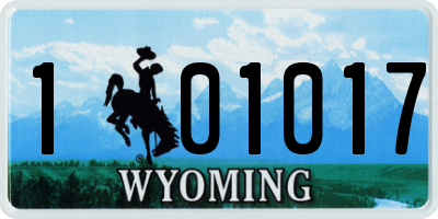 WY license plate 101017