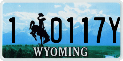 WY license plate 10117Y