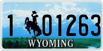 WY license plate 101263