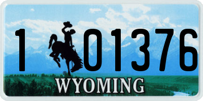 WY license plate 101376
