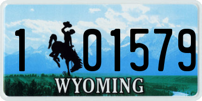 WY license plate 101579