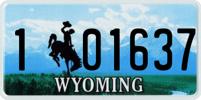 WY license plate 101637