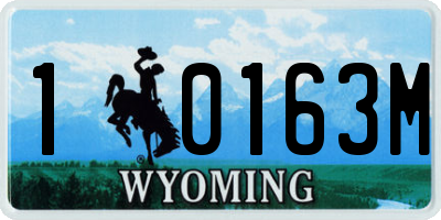 WY license plate 10163M
