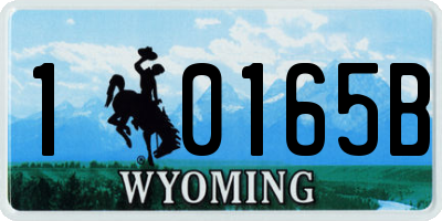 WY license plate 10165B