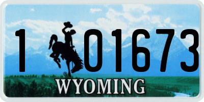 WY license plate 101673