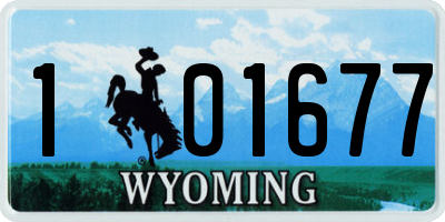 WY license plate 101677