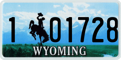 WY license plate 101728