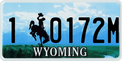 WY license plate 10172M