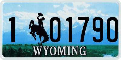 WY license plate 101790