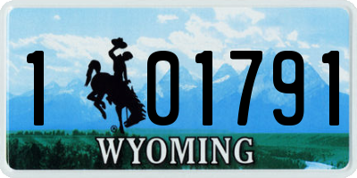 WY license plate 101791