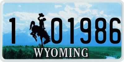 WY license plate 101986
