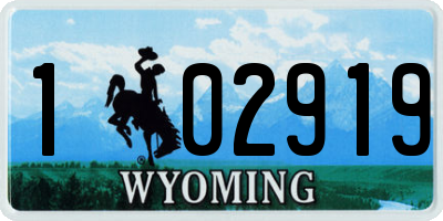 WY license plate 102919