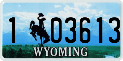 WY license plate 103613