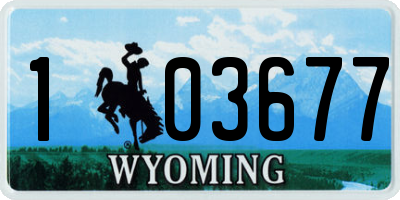 WY license plate 103677