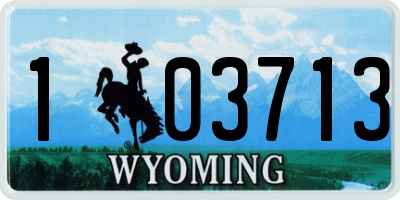 WY license plate 103713