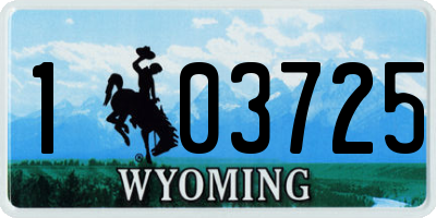 WY license plate 103725