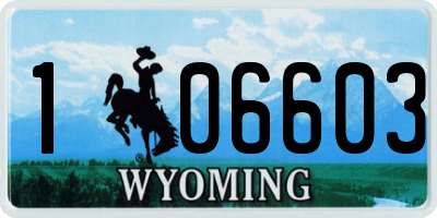 WY license plate 106603