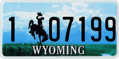 WY license plate 107199