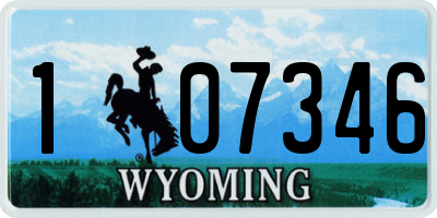 WY license plate 107346
