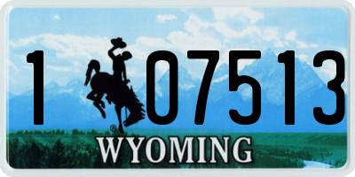 WY license plate 107513