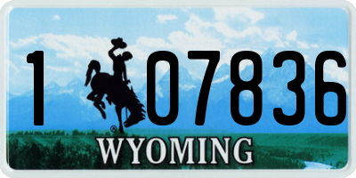 WY license plate 107836
