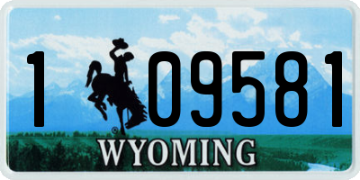 WY license plate 109581