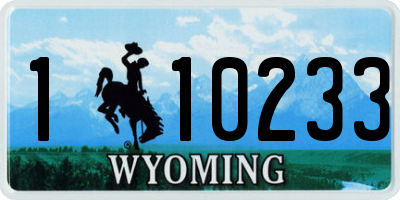 WY license plate 110233